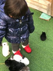 点击看大图 -萌宠亲子动物乐园(槐房万达店)