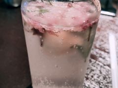 荔枝樱花气泡-机器人火炉披萨