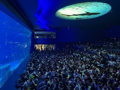 -上海海昌海洋公园