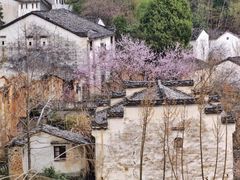 -石潭村