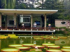 -国家植物园南园