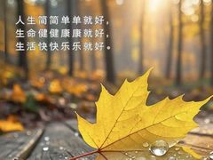 -龙脉温泉室内游泳馆