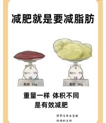 -Fundi张玉珊修身堂·indiba·BTL科技瘦身