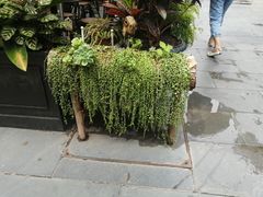 -南屏步行街