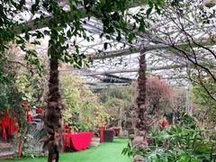 景点-呀路古热带植物园