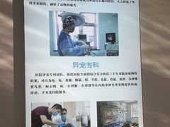 -北京观赏动物医院·24小时大型综合·猫专科·异宠专科