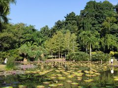 -中国科学院西双版纳热带植物园