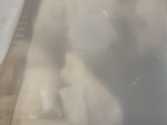 -枫泾丁氏烧卖(枫丽路店)
