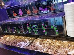 -千百叶海鲜自助餐厅(万达广场店)