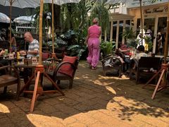 -Fern Forest Cafe