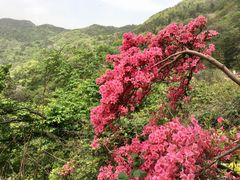 -木兰云雾山