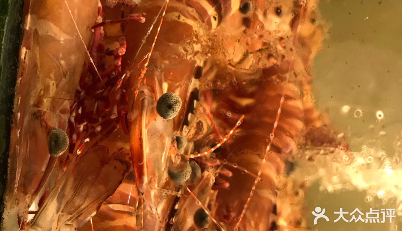 海鲜大世界，各种各样的新鲜海鲜有大闸蟹、象拔蚌、