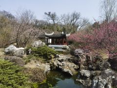 -采石矶景区