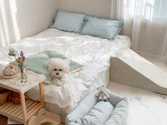 -一起装修网(集团店)