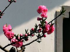 -团结湖公园