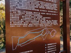 -云岗森林公园