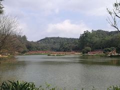 -南国桃园旅游度假区