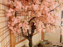 浴室一角-汤泉良子.足疗按摩.SPA(中关村店)