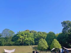 -三圣花乡旅游区