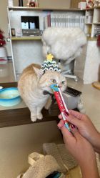 -齐伽生活馆·瑜伽·普拉提·阿育吠陀