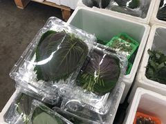 -东方鼎信农副产品交易中心