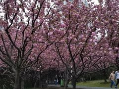 -苏州河梦清园环保主题公园