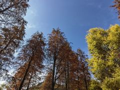 -广州市石门国家森林公园