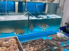 水产区-1910老鲁味海鲜·戳子肉·青岛菜(金沙滩店)