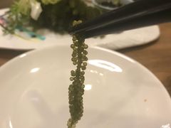 -素行天下(国投财富广场店)