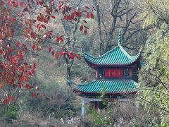 -岳麓山风景名胜区