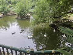 -东湖落雁景区