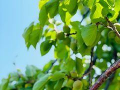 -潭柘厚院(桑峪村店)