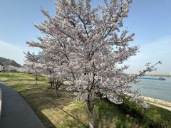 -幕燕滨江·长江观音景区