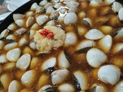 -顺德哥卜卜贝(旗舰店)