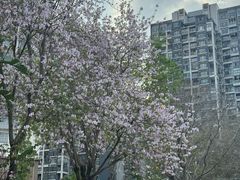 -呐咪傣园·云南菜(石厦店)