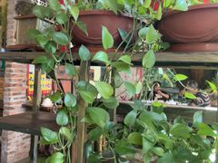 -食德喜·阳山鸡王食研基地