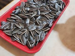 -蘑统田下·野生菌火锅