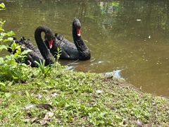 -长白岛森林公园