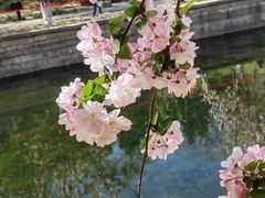 -元大都城垣遗址公园