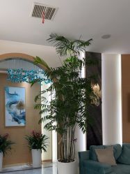 -雅曼妮spa美容养生