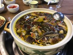 -杨记山珍鸡煲菌汤锅