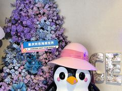 -重庆欢乐海底世界