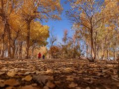 -党河风情线国家水利风景区