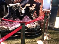 -绮丽珊瑚(台北101旗舰门市店)