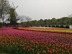 -上海鲜花港