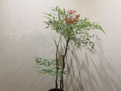 -赏清合茶文化艺术体验馆(百瑞景店)