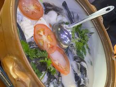 -全乐鱼馆·淳牌有机鱼直营店