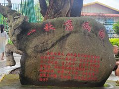 -一寨两国风景区