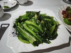 -煲来饱去冷水鱼