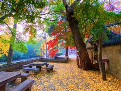 -青岛崂山太清宫